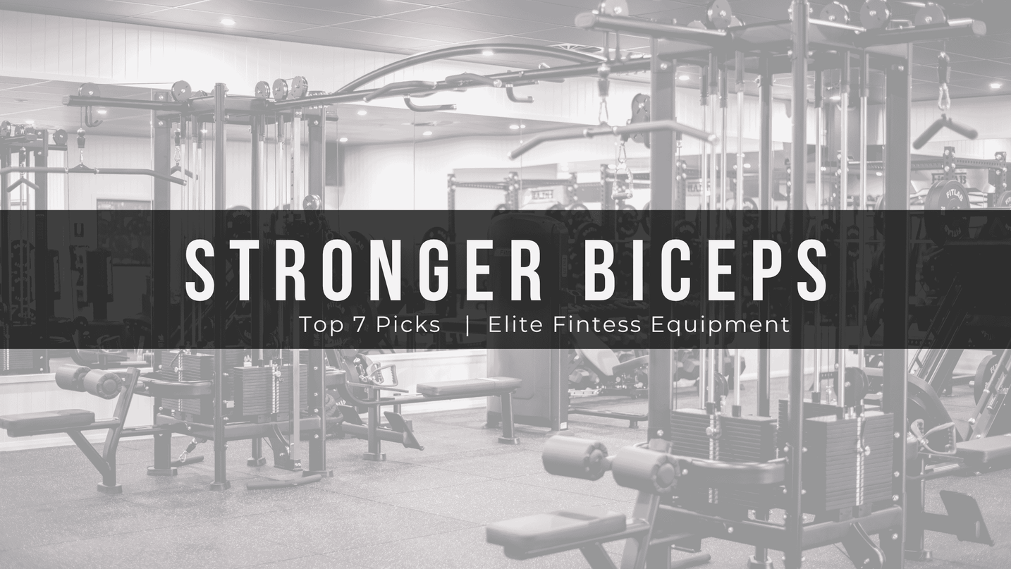 Bicep Workout
