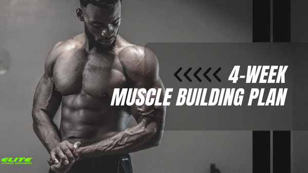 30 Days Muscle Building Workout Plan