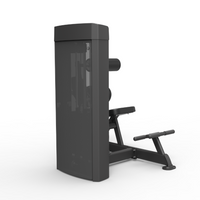 Spirit Dual Function Commercial Strength - Abdominal / Back Extension