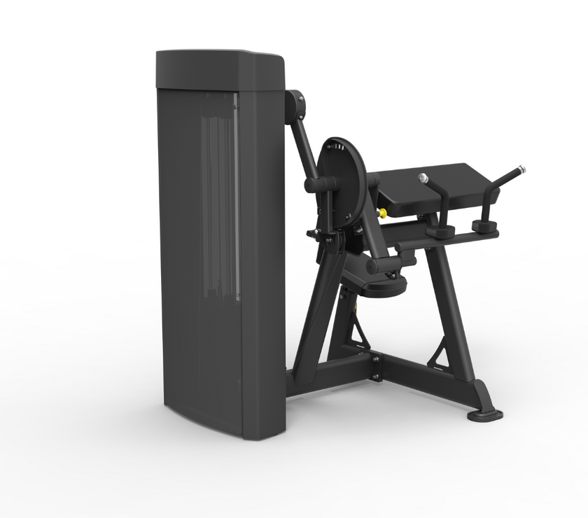 Spirit Dual Function Commercial Strength - Seated Biceps Curl / Triceps
