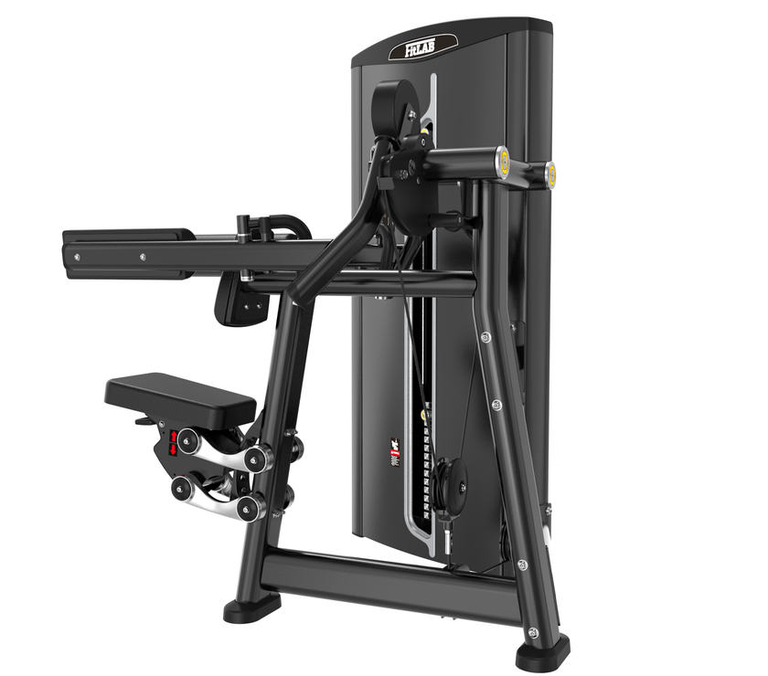 FITLAB LATERAL RAISE | PRE ORDER