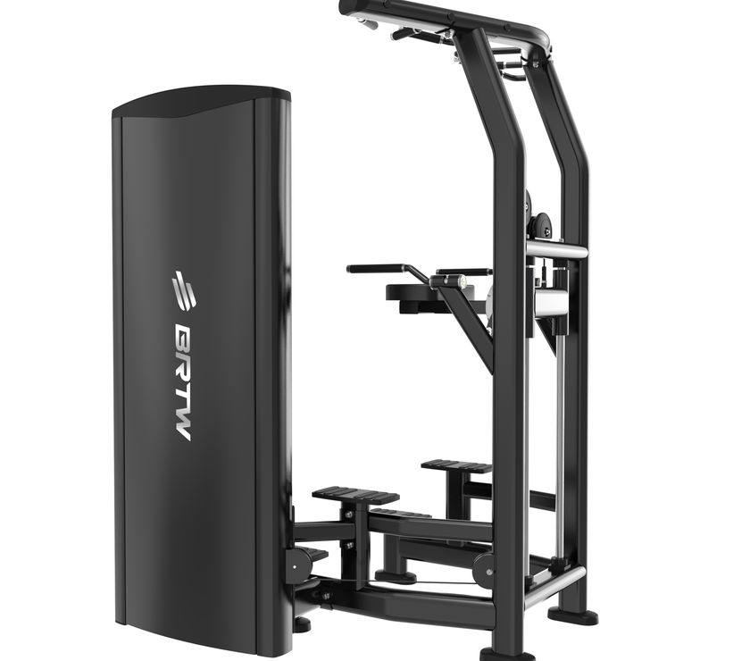FITLAB ASSISTED CHIN/DIP | PRE ORDER