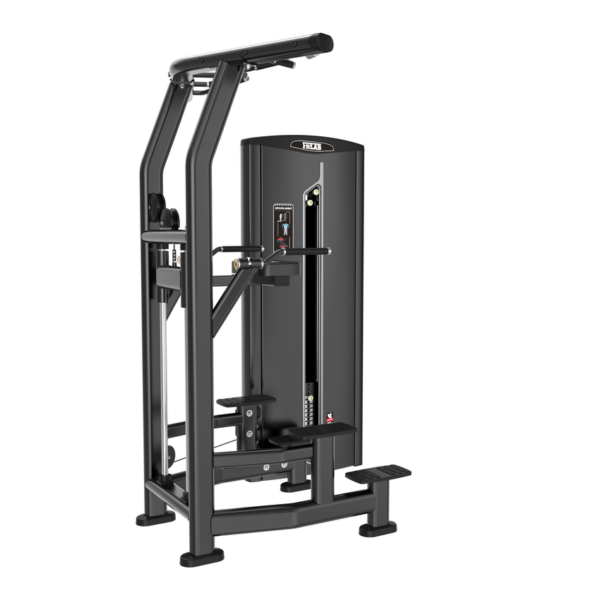 FITLAB ASSISTED CHIN/DIP | PRE ORDER
