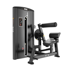 FitLAB Commercial Abdominal/Lower Back Extension: strengthen core and lower back with durable, adjustable equipment built for high-traffic gyms.