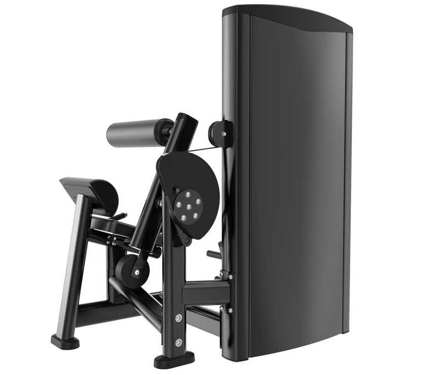 FitLAB Commercial Abdominal/Lower Back Extension: strengthen core and lower back with durable, adjustable equipment built for high-traffic gyms.