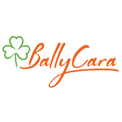 Elite Fitness commercial gym fit out