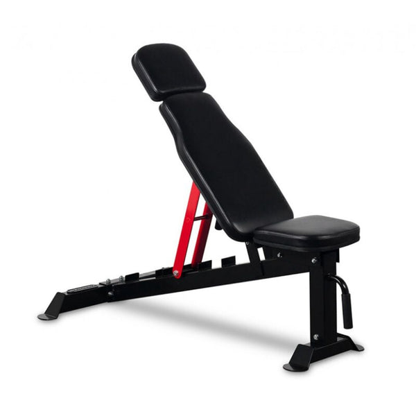 Gym Adjustable weight bench
